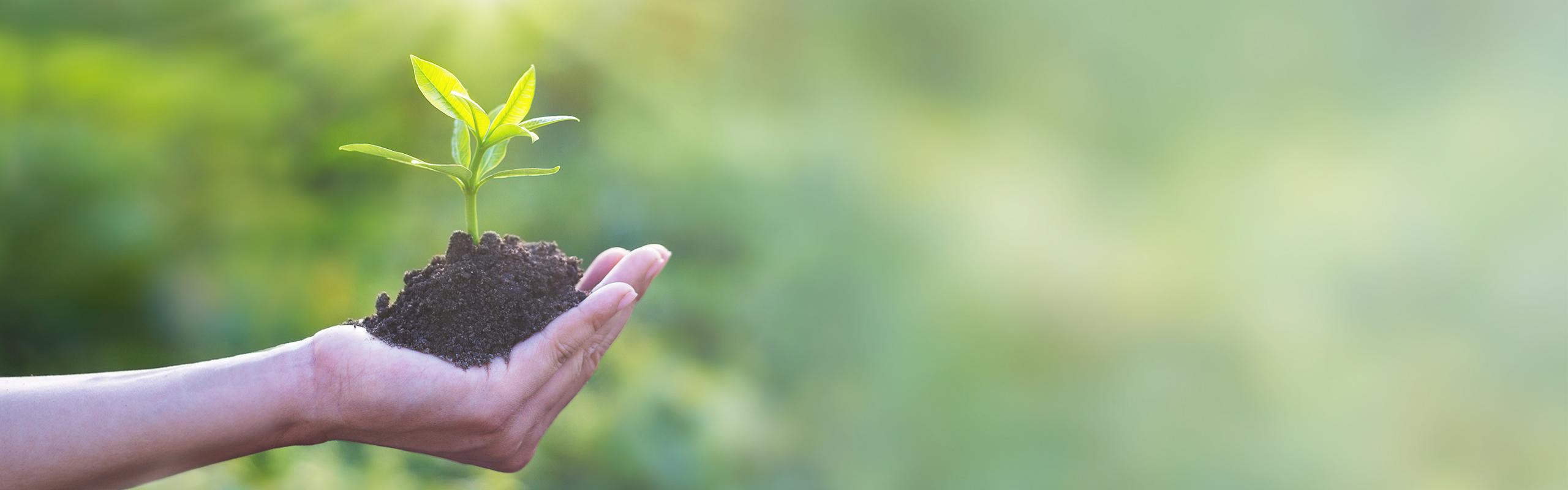 BRITA sustainability hand holding soil with plant